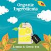 Clipper Organic Lemon Green Tea Bags | 120 Teabags (6x Boxes of 20) | Bulk Buy for Office, Home & Catering | Pure, Fair Trade Green Tea with Lemon | Natural Unbleached Plant-Based & Biodegradable view 3