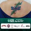 After Inked Tattoo Aftercare Non-Petroleum Jelly - With Grape Seed Oil, Essential for Tattoo Kit, PMU & Piercing Aftercare - Multipurpose Ointment - 7g Reclosable Packet (3-Pack) view 3