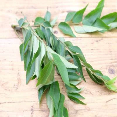 Fresh Curry Leaves 20g