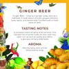 Double Dutch Ginger Beer | Blend of 3 Fiery Gingers | 100% Natural Ingredients | Gluten Free, Vegan Friendly Premium Soft Drink & Mixer Perfect For Rum & Cocktails | 24 x 200ml Bottles view 3