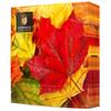 20 Napkins Autumn with Autumn Leaves in Red/Yellow Paper Napkins Autumn Table Decoration Autumn with Leaves and Leaves Autumn Colours Autumn Motif 33 x 33 cm view 2