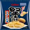 Calbee KATAAGE Hard Potato Chips Salt 65g  12 Japan view 1