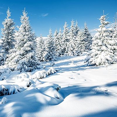 20 Napkins Natural Winter Forest Winter Forest Snow Xmas 33 x 33 cm