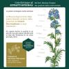 Altea Estratto Integrale 200ml view 4