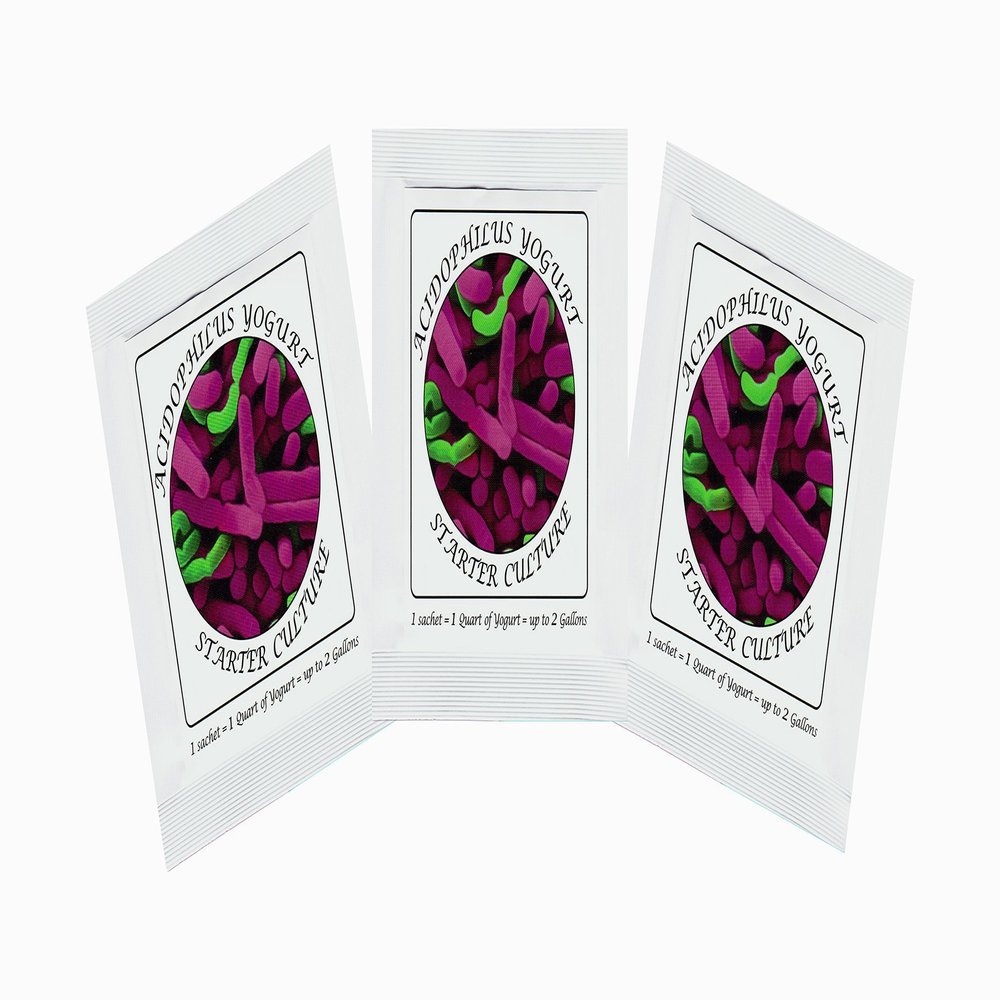 Yogurt Starter Cultures - Pack of 3 Freeze-Dried Culture Sachets for Acidophilus Yogurt