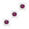 Yogurt Starter Cultures - Pack of 3 Freeze-Dried Culture Sachets for Acidophilus Yogurt view 3