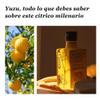 O-Med Selection Arbequina with Yuzu (10%) - Bottle 250 ml - Extra Virgin Olive Oil view 4