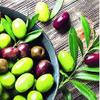 20 Napkins Fresh Olives / Food / Fruit / Vegetables 33 x 33 cm view 1