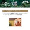 Camomilla Bio 40g Hampstead Tea view 3