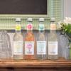 Breckland Orchard | Ginger Beer with Chilli Posh Pop | 275ml x 12 Bottles view 3