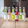 Breckland Orchard | Ginger Beer with Chilli Posh Pop | 275ml x 12 Bottles view 4