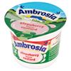Ambrosia Strawberry Flavour Custard Pots - 12x120g view 2