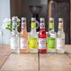 Breckland Orchard | Strawberry and Rhubarb Posh Pop | 275ml x 12 Bottles view 4