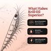 Ultra Pure Superba Krill Oil 500mg x 120 Capsules - sourced in The unpolluted Waters of The Antarctic Providing a Rich Supply of Astaxanthin and Omega 3 view 4