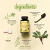 Vegavero Liver Support Supplements | with Artichoke, Chicory & Choline | Natural Cleanse Detox and Repair | NO Additives | 120 Vegan Capsules view 4