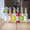 Breckland Orchard | Zero Sugar Elderflower Posh Pop | 275ml x 12 Bottles view 2