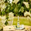 Belvoir Farm Lighter Sparkling Elderflower - Hand Picked Elderflowers | 30% Less Sugar only 50 Calories | 100% Natural Ingredients | Suitable for Vegetarians & Vegans - 6 x 750ml Bottles view 2