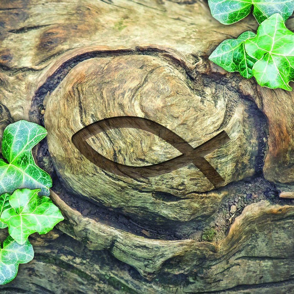 20 Napkins Ichthys in Tree/Communion/Confirmation/baptism 33 x 33 cm