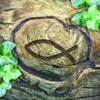 20 Napkins Ichthys in Tree/Communion/Confirmation/baptism 33 x 33 cm view 1