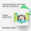 Kruterhof Horse Balm Cooling 2 x 500 ml view 2