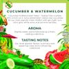 Double Dutch Cucumber & Watermelon Soda | Low Calorie Diet Soft Drink | 100% Natural Ingredients | Gluten Free, Vegan Friendly Premium Mixer Perfect For Gin, Vodka & Cocktails | 24 x 200ml Bottles view 3