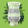 Real Syrup | Kiwi Puree Infused Fruit Syrup | Made with Real Kiwi | 500ml |Natural Ingredients| Cocktails, Baking, Smoothies, Mixing Drinks, Desserts, Cooking view 2
