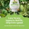 Real Syrup | Kiwi Puree Infused Fruit Syrup | Made with Real Kiwi | 500ml |Natural Ingredients| Cocktails, Baking, Smoothies, Mixing Drinks, Desserts, Cooking view 3