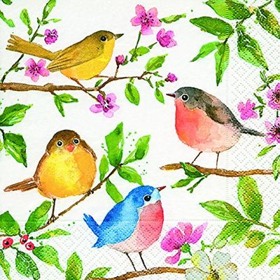 20 napkins, birds, spring, 25 x 25 cm, 3-ply, 1/4 folded (12.5 x 12.5 cm)