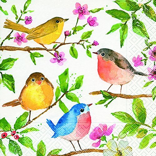 20 napkins, birds, spring, 25 x 25 cm, 3-ply, 1/4 folded (12.5 x 12.5 cm)