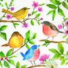 20 napkins, birds, spring, 25 x 25 cm, 3-ply, 1/4 folded (12.5 x 12.5 cm) view 1