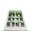 Agrosprouts Organic Wheatgrass Juice Sprutsshots Half Year Box Deep Frozen / From Austrian Cultivation / Direct from Farmers / AT BIO-301 view 1