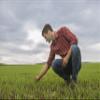 Agrospr Outs Organic Wheatgrass Juice Sprouts Shots Quartals Box Tiefgefroren/Austrian Farming/Straight From The Farmer at 301 view 4