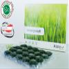 Agrosprouts Organic Wheat Grass Juice Sproutscubes Monthly Box Frozen / From Austrian Cultivation / Direct from Farmer / AT BIO-301 view 1