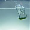 Agrosprouts Organic Wheat Grass Juice Sproutscubes Monthly Box Frozen / From Austrian Cultivation / Direct from Farmer / AT BIO-301 view 2