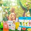 Bobalife Fruity Bubble Tea Kit with Popping Boba & Tapioca Pearls - Make 12 Delicious Fruit Tea Drinks At Home - Green Apple, Strawberry, Passion Fruit Flavors - Fun DIY Boba Tea Set view 4