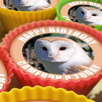 Barn Owl Bird of Prey - 20 x 5cm Personalised Edible Cupcake Toppers on Premium Icing