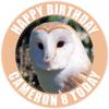 Barn Owl Bird of Prey - 20 x 5cm Personalised Edible Cupcake Toppers on Premium Icing view 3