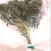 Fresh Curry Leaves/Kadi Patha (Free UK Post) ,Aromatic/Heathy/Asian cooking view 2