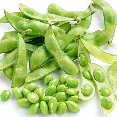 Suttons Bean - SOYA, Edamame - Green Shell, Average Packet Content 40 Seeds