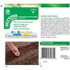 Suttons Bean - SOYA, Edamame - Green Shell, Average Packet Content 40 Seeds view 3
