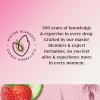 Twinings Superblends Glow Tea - Strawberry & Cucumber Green Tea with Aloe Vera & Biotin for Skincare & Hair Care, 80 x Biodegradable Tea Bags view 4