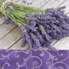 20 napkins lavender bouquet on wood/lavender/flowers/summer 33 x 33 cm view 1