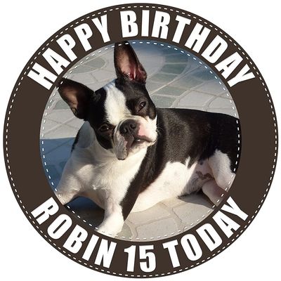 Boston Terrier Dog - Any Size (4in - 7.5in) Personalised Edible Cake Topper on Premium Icing
