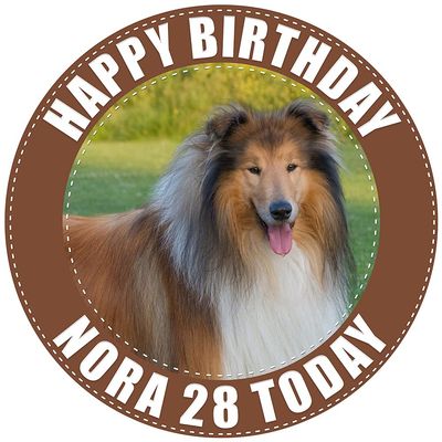 Rough Collie Dog - Any Size (4in - 7.5in) Personalised Edible Cake Topper on Premium Icing