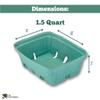 Green Molded Pulp Fiber Berry/Produce 1.5 Quart Basket (Set of 12) view 2