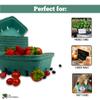 Green Molded Pulp Fiber Berry/Produce 1.5 Quart Basket (Set of 12) view 3
