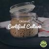 Freshly Fermented  Organic & Vegan Certified Freeze Dried Sourdough Culture, Rye view 2