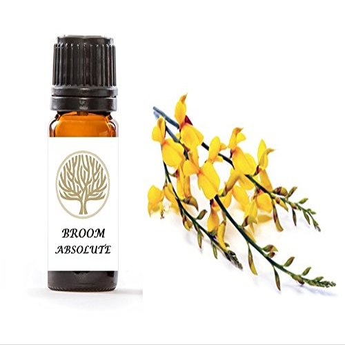100% Pure Broom Absolute Oil (5ml)