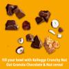 Kellogg's Crunchy Nut Hazelnuts & Chocolate Granola, 600g view 3
