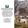 GOAT NUTRITION EST. 1981 | Vegetarian Rennet 50ml | All Cheeses view 3